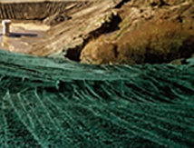 The Erosion Company
